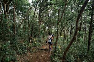 BIB: 
                            <button type="button" onclick="openModal(22795388)" class="btn btn-primary btn-sm float-right btn-popup" data-toggle="modal" data-target=".modal-high-quality">
                        <i class="fas fa-shopping-cart"></i> Add to Cart
                    </button>
                                            <button type="button" onclick="isThisMe(22795388, true)" class="btn btn-success btn-sm float-right btn-popup btn-isme hidden" data-toggle="tooltip" data-placement="bottom" title="นี่คือรูปของคุณใช่ไหม คลิกที่นี่เพื่อเอาเข้าอัลบั้ม">
                        <i class="fas fa-plus"></i> Add to album
                    </button>
                    <button type="button" onclick="isThisMe(22795388, false)" class="btn btn-warning btn-sm float-right btn-popup btn-isnotme hidden">
                        <i class="fas fa-ban"></i> Remove from album
                    </button>